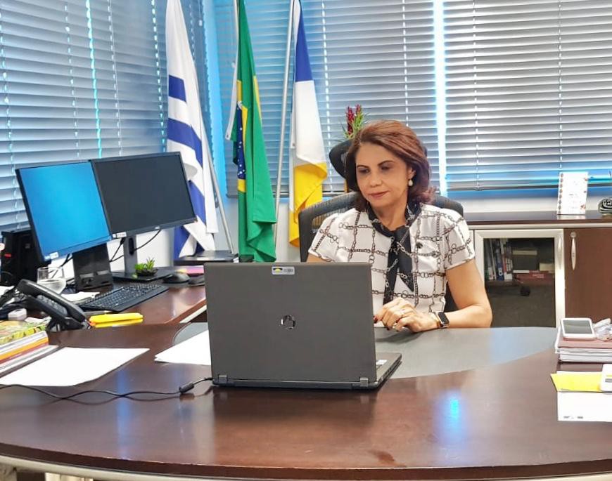 Reunião do Comitê Estadual foi realizada por meio de videoconferência