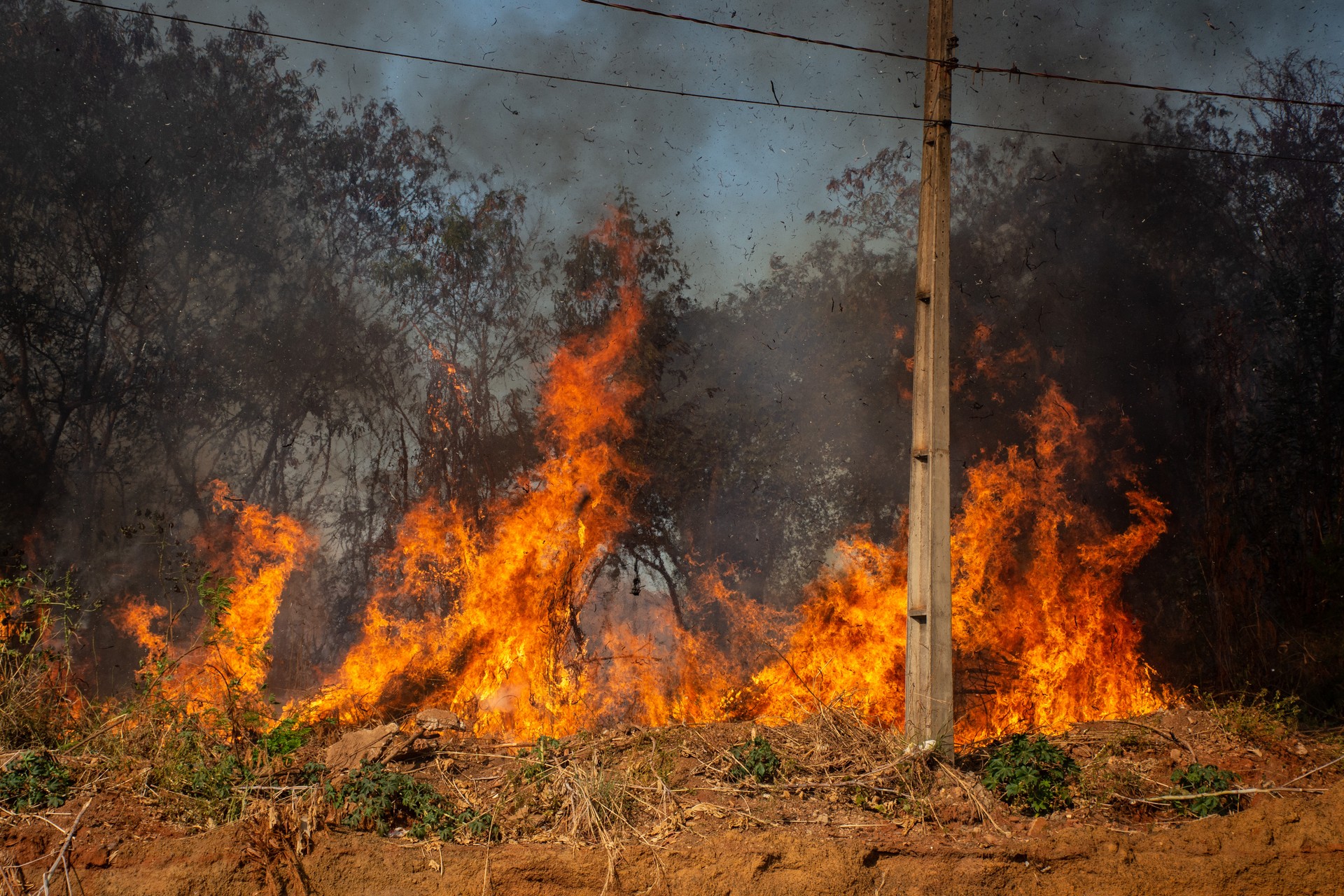 Mais de 117 mil hectares de área queimada já foram identificados pelo MPTO