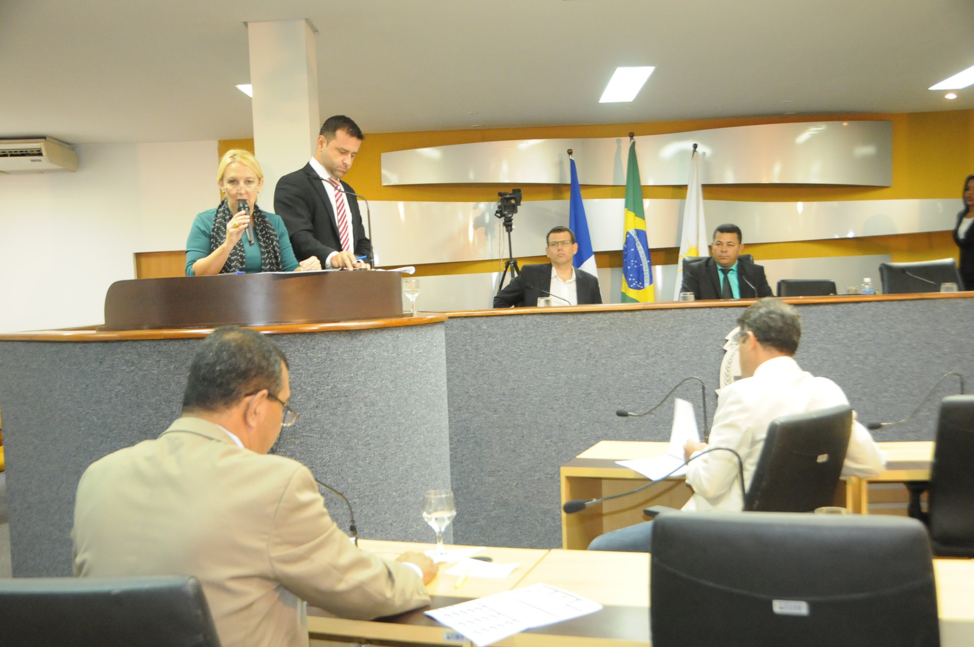 Audiência pública foi realizada na Câmara Municipal de Palmas