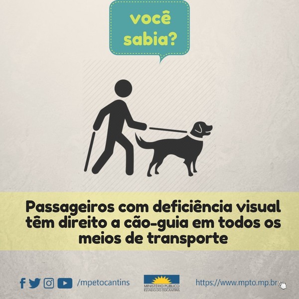 Direito a cão-guia