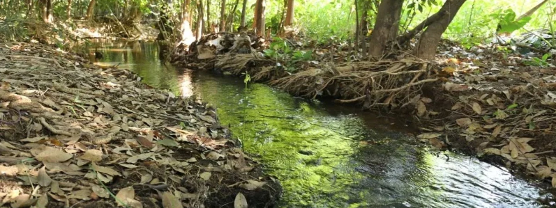 Trecho do córrego Dois Irmãos