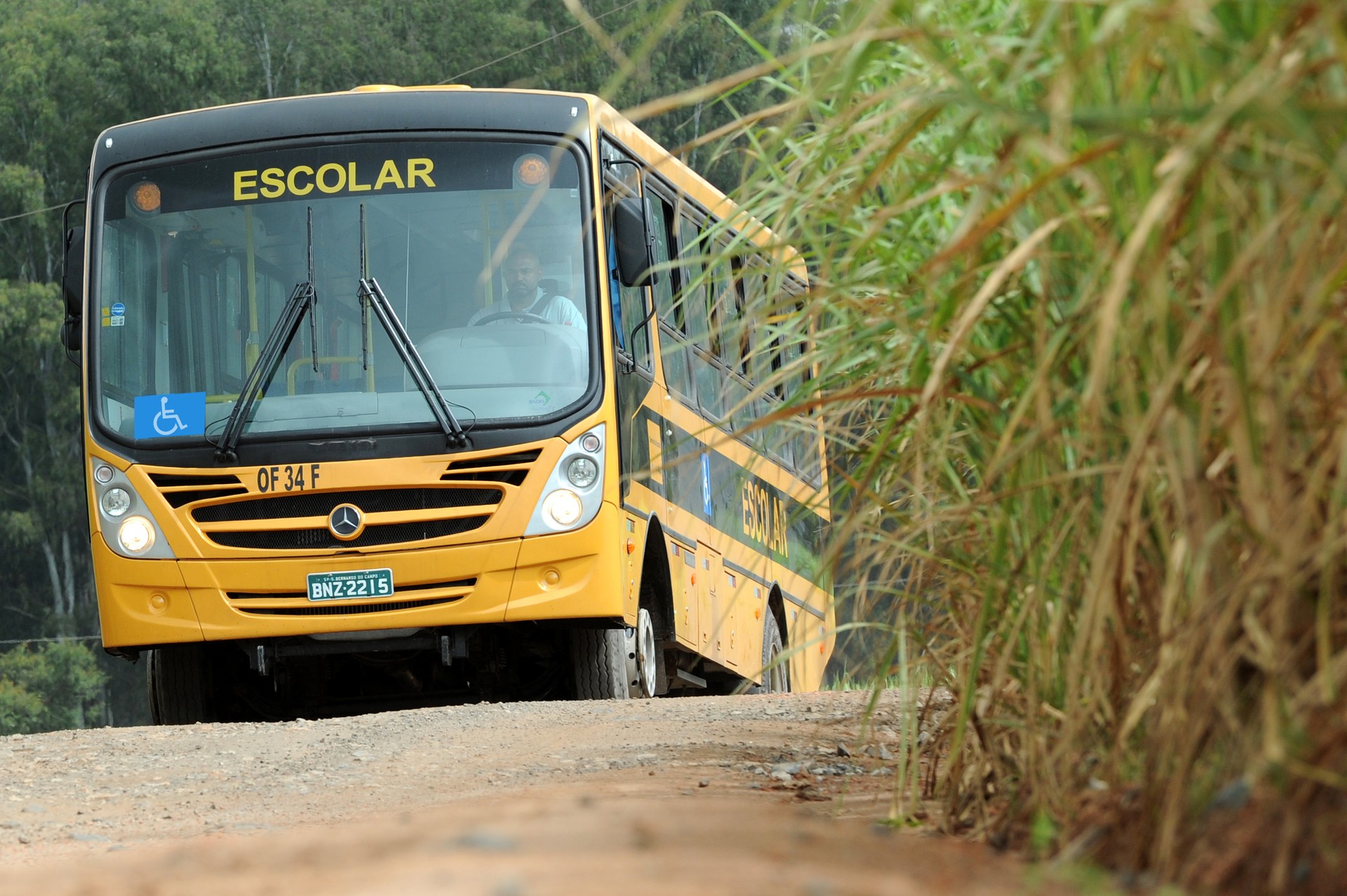 O Juiz Eduardo Barbosa Fernandes também determinou ao Município de Arraias, a contratação de monitores em número suficiente para atendimento adequado das rotas realizadas pelos ônibus escolares.