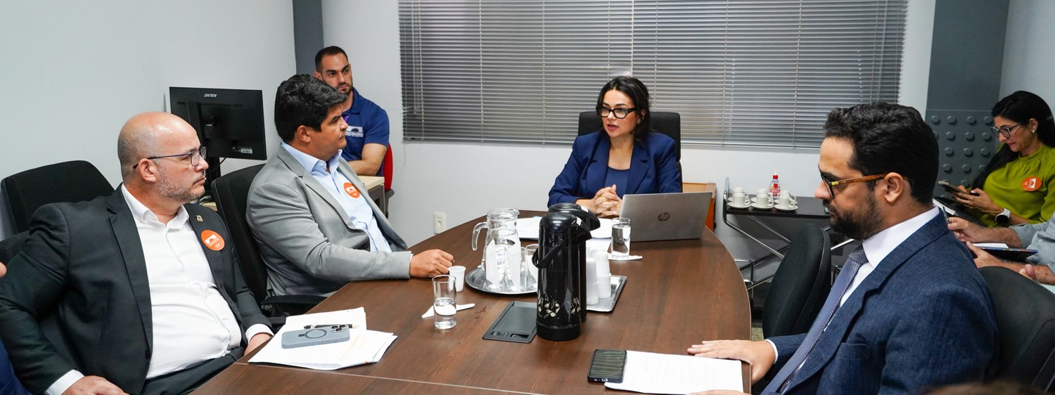 Reunião administrativa foi conduzida pela titular da 27ª Promotoria de Justiça da Capital (PJC), promotora Araína Cesárea (centro)