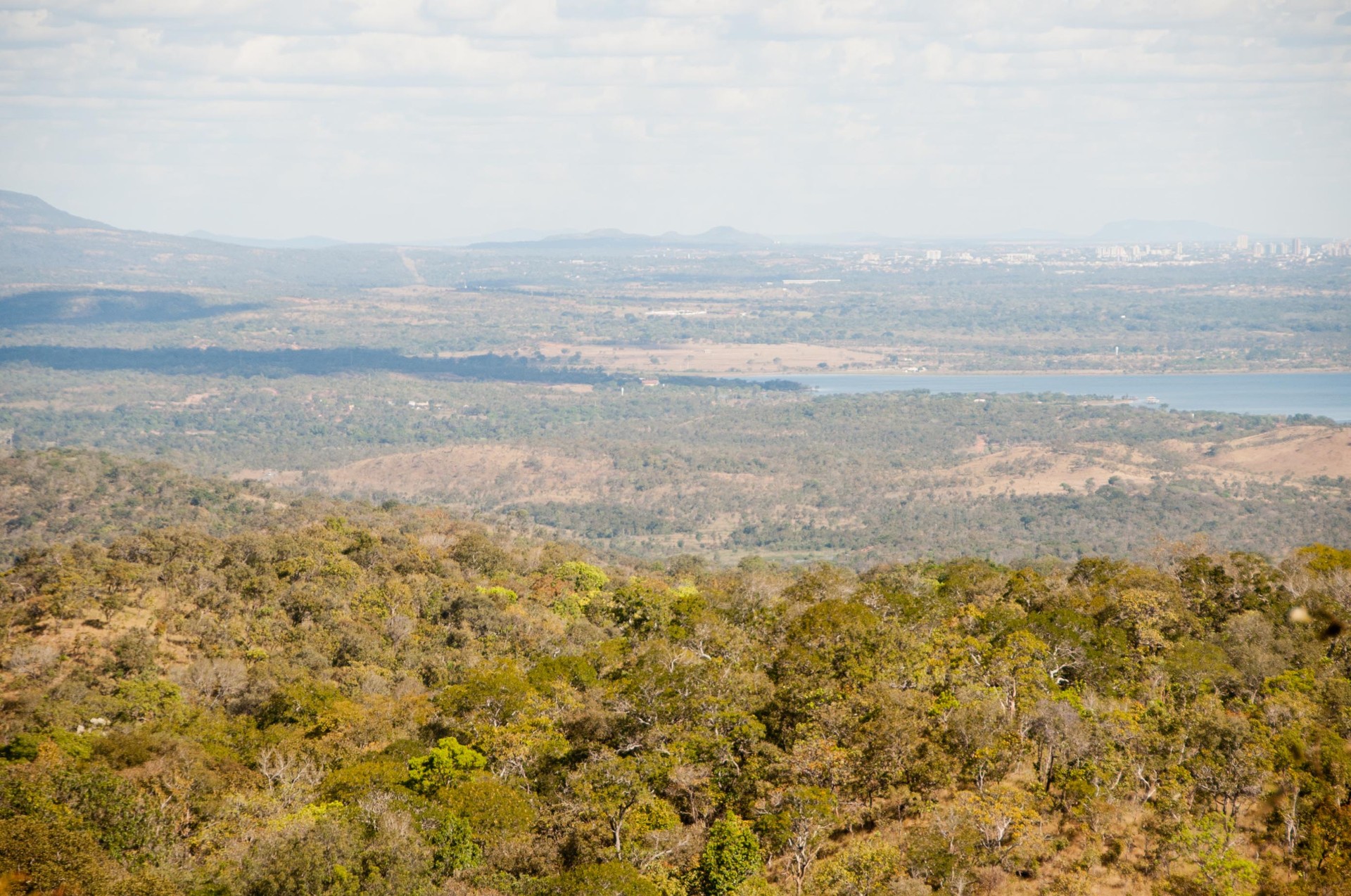 Área de cerrado