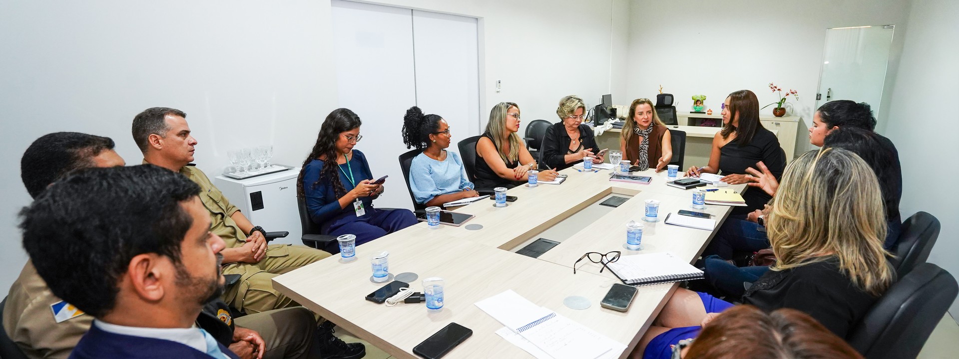 Do MPTO, participou a coordenadora do Núcleo de Gênero (Nugen), promotora de Justiça Flávia Rodrigues