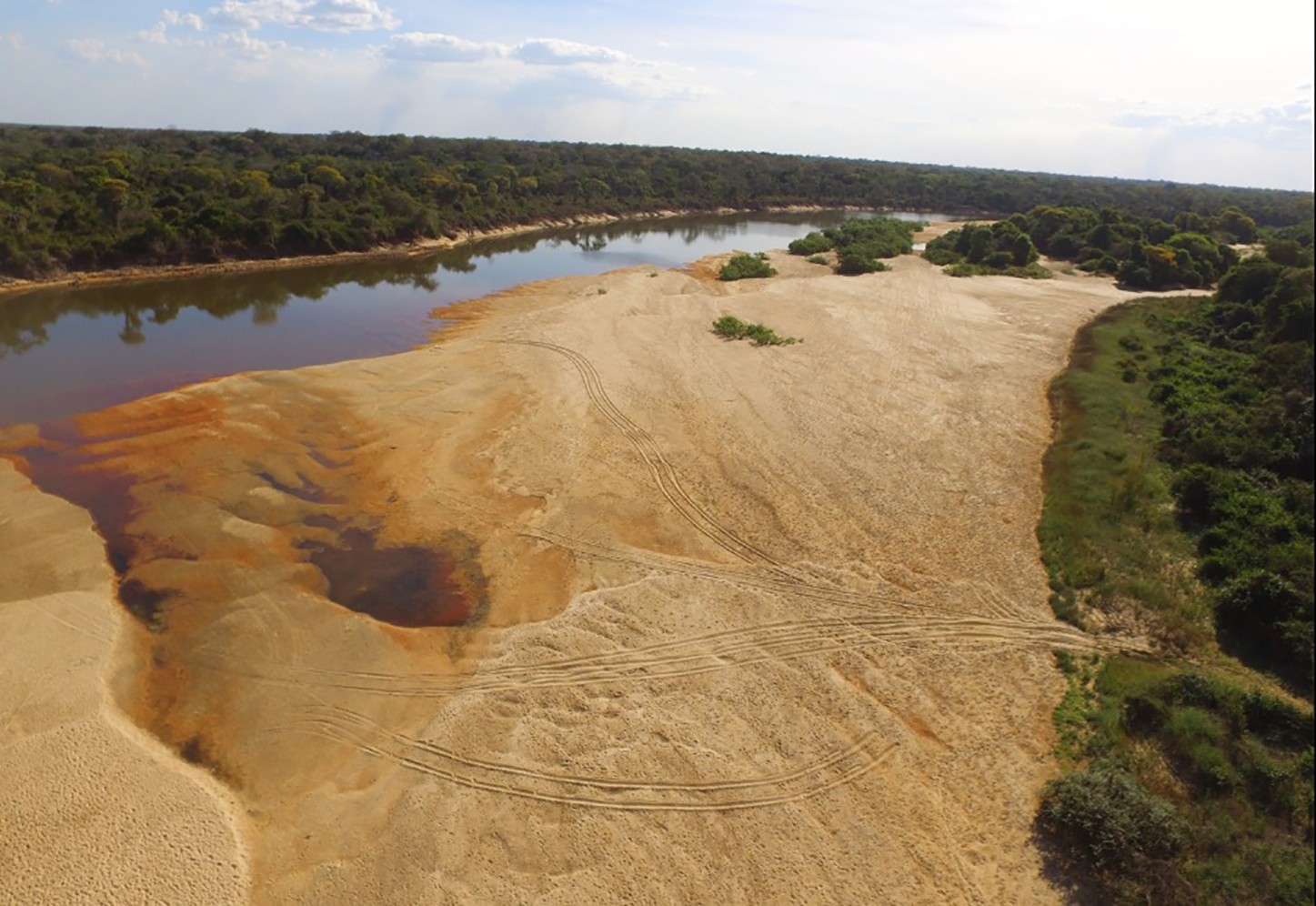 Intervenções em rios têm causado danos ambientais