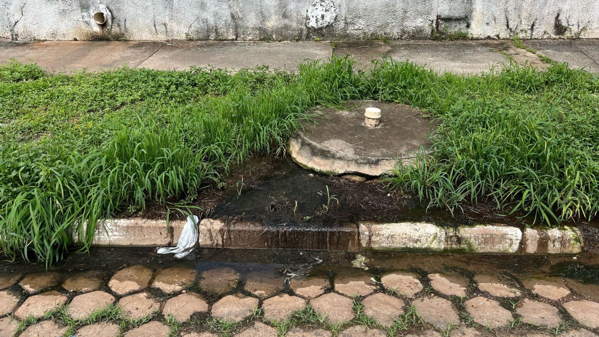 Flagrante do esgoto jogado na rua