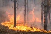 Incêndio de grandes proporções