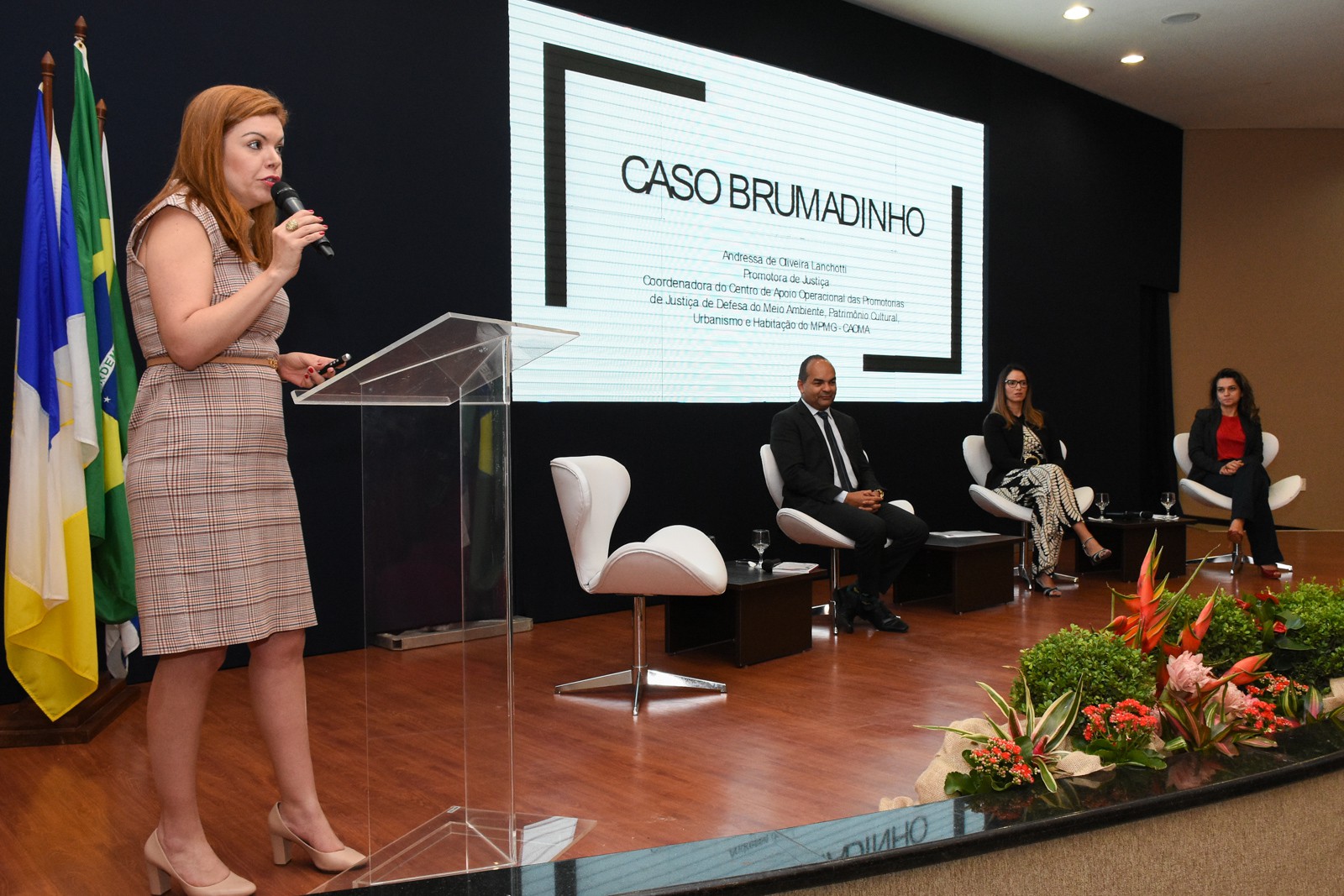 A Promotora de Justiça de Minas Gerais Andressa de Oliveira Lanchotti discorreu sobre “A atuação do Ministério Público na apuração de responsabilidades em demandas coletivas”