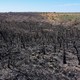 o total de área queimada, mais de 81 mil hectares estão presentes em 386 imóveis rurais