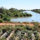 Barragens integram o Projeto Rio Formoso, um dos maiores empreendimentos de irrigação do Brasil