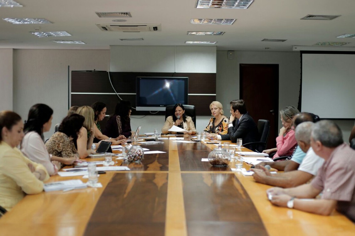 A Promotora de Justiça Maria Roseli representou o MPE