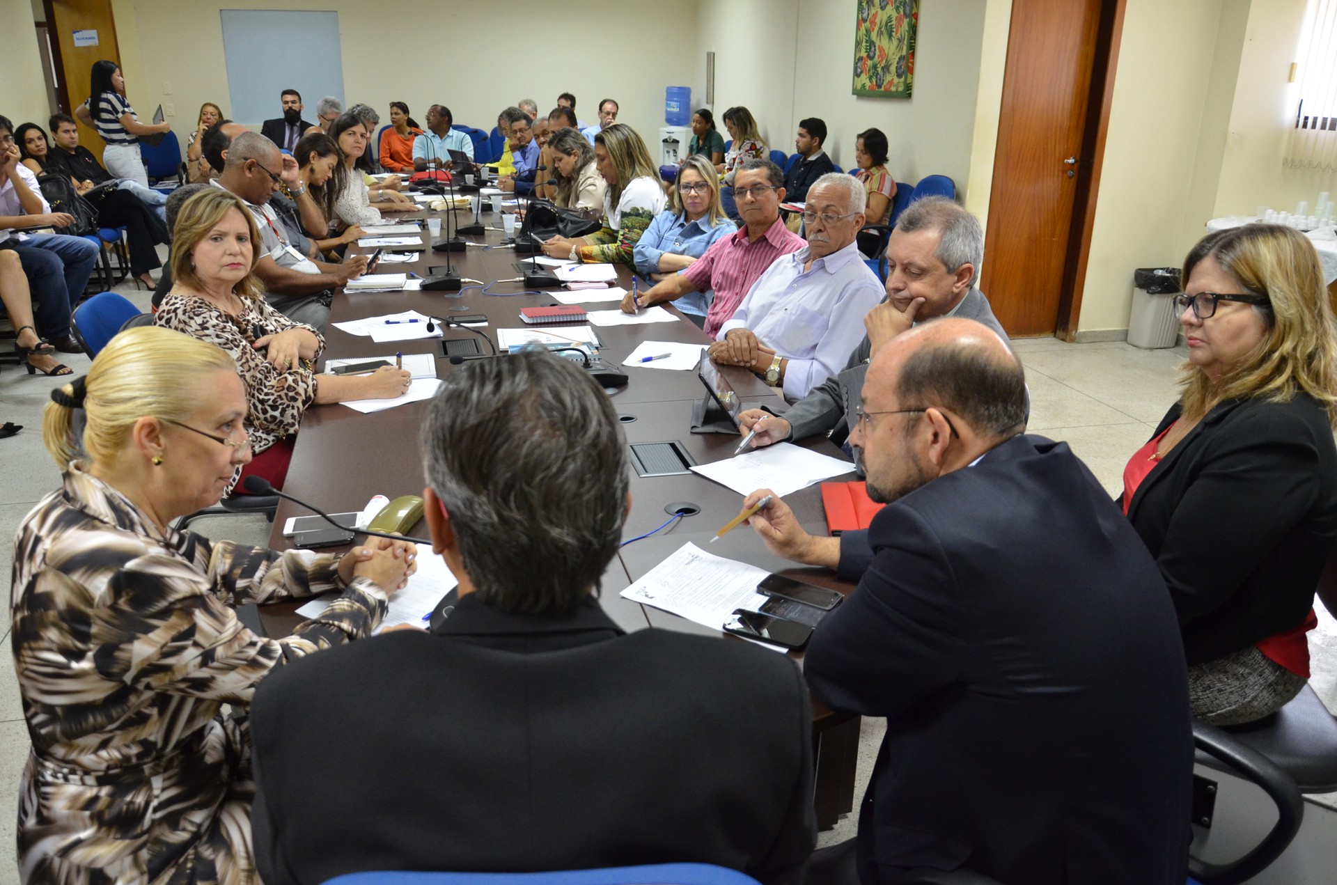 A Promotora de Justiça da Saúde Pública, Maria Roseli de Almeida Pery, acompanhou a reunião