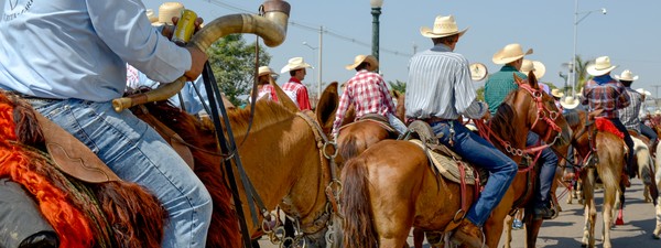 MPTO recomenda medidas para prevenir maus-tratos a animais durante Cavalgada 2025 em Araguaína