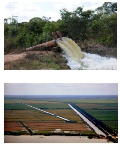 Projeto monitora bacia do Rio Formoso