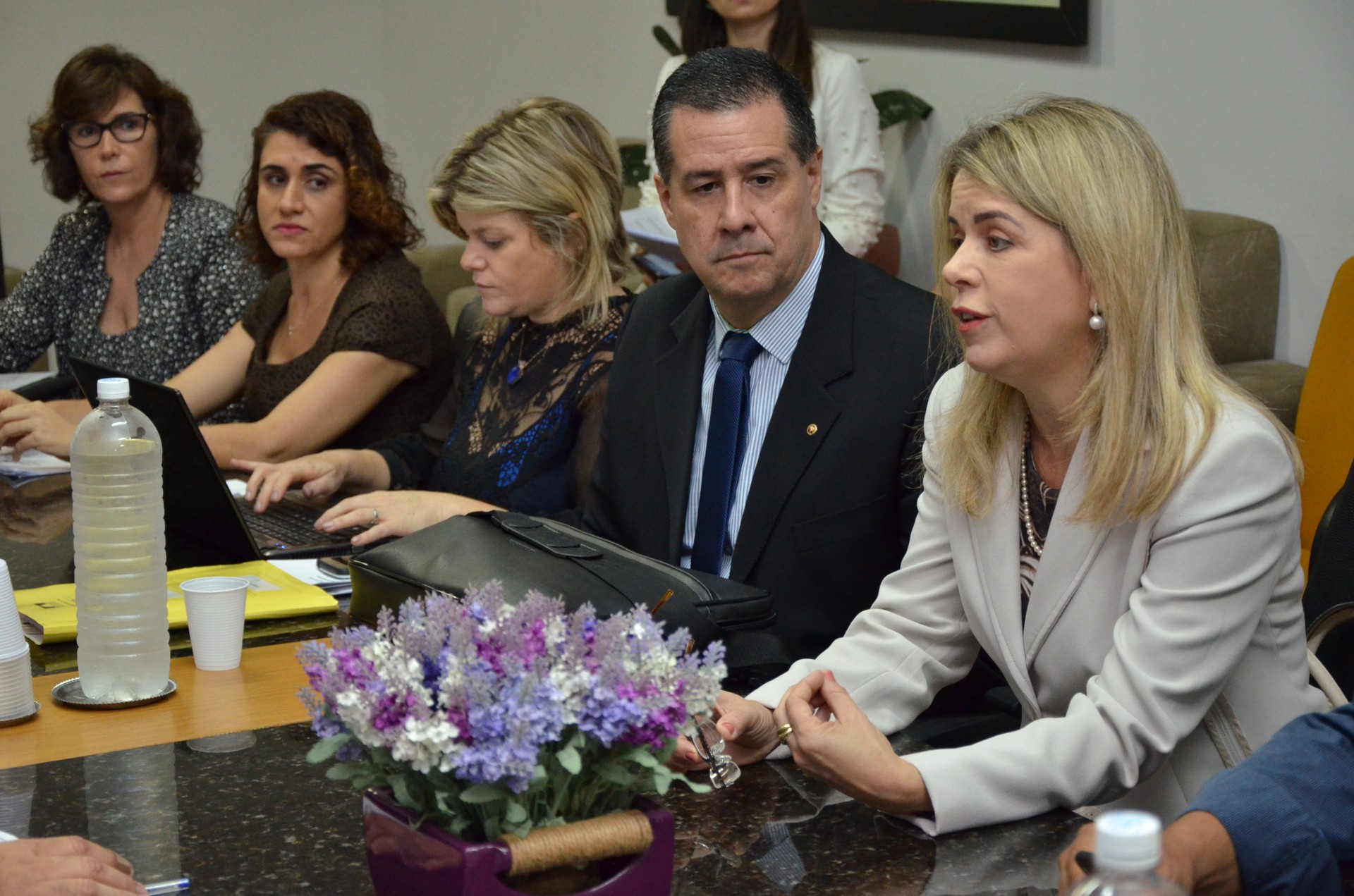 Grupo de Trabalho Psiu!, do MPTO, é coordenador pela Procuradora de Justiça Ana Paula Catini