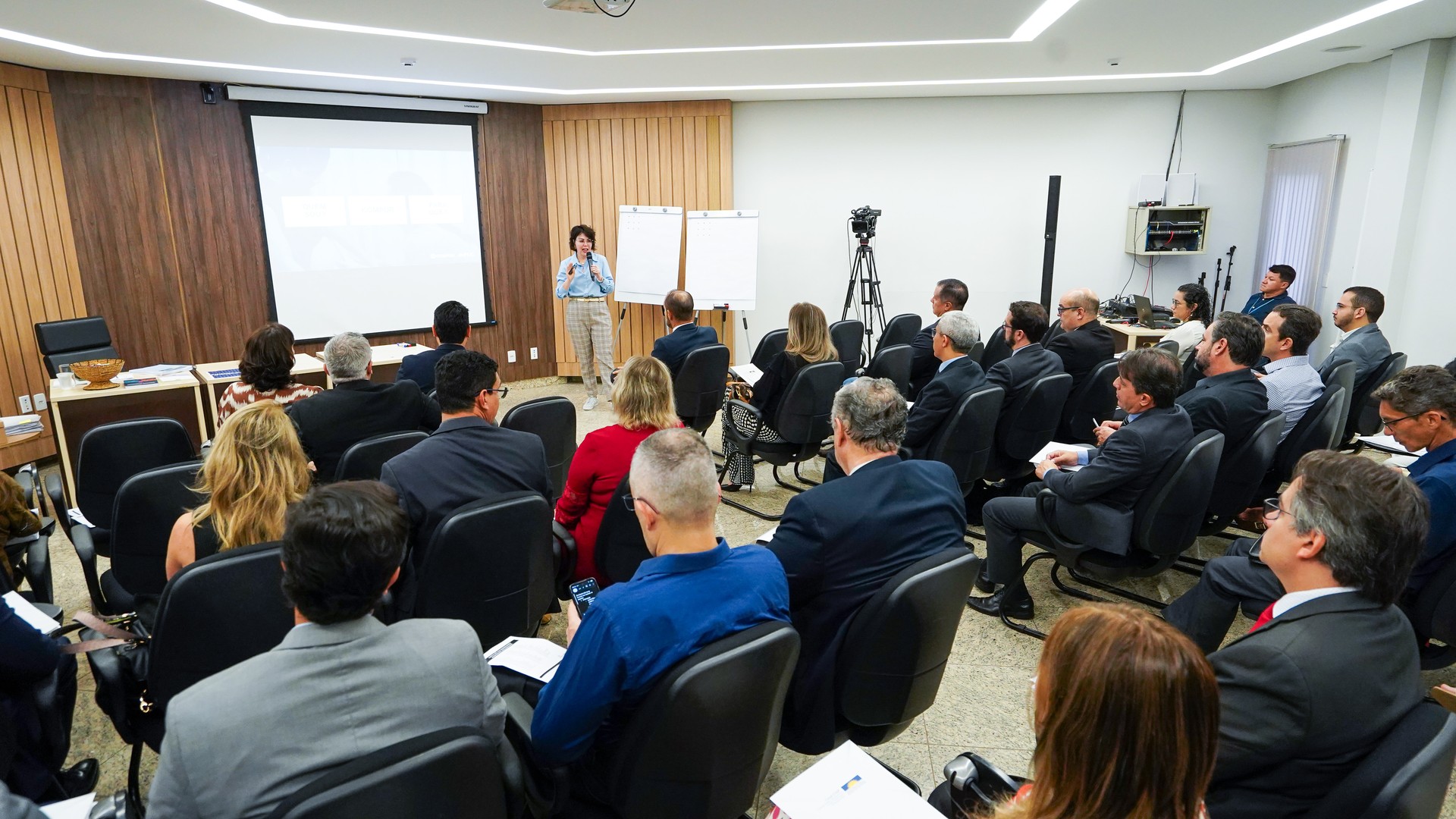 O curso foi ministrado pela coordenadora técnico-jurídica do Compor-MPMG, promotora de Justiça Danielle Arlé