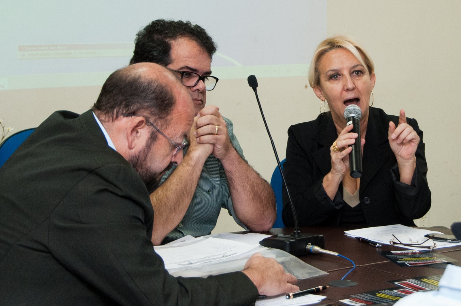 Promotora de Justiça fala durante reunião do CES