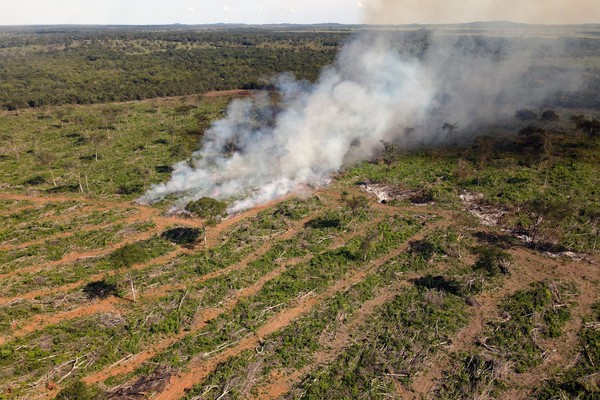 ADI, ingressada pelo MPTO, tem objetivo de garantir a preservação do meio ambiente e coibir crimes ambientais