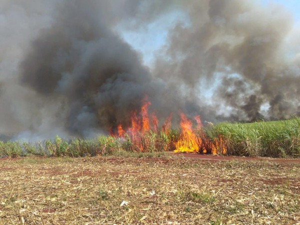 Queimada irregular ocorreu em Pedro Afonso no ano de 2015