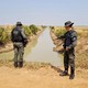 Agentes do Ibama, durante operação