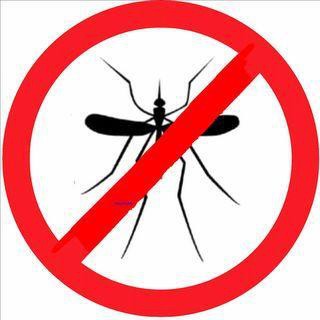 O objetivo da Promotoria de Pedro Afonso é o combate ao  mosquito Aedes Aegypti, transmissor da dengue. 