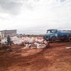 Três sócios são processados por descarte ilícito de embalagens de agrotóxicos em uma fazenda localizada em Lagoa da Confusão